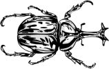 Tattoo design 8